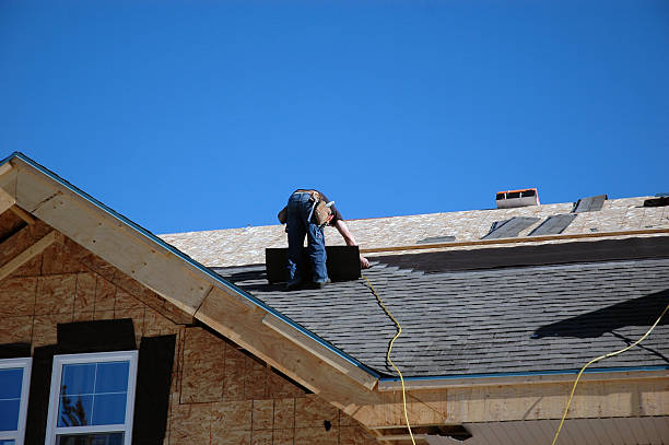 Best Roof Insulation Installation  in Pascagoula, MS