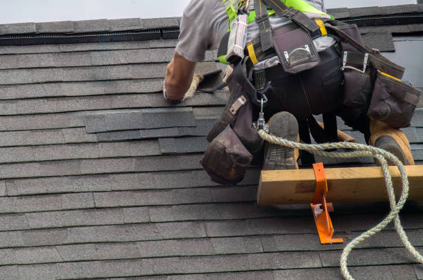 Best Chimney Flashing Repair  in Pascagoula, MS