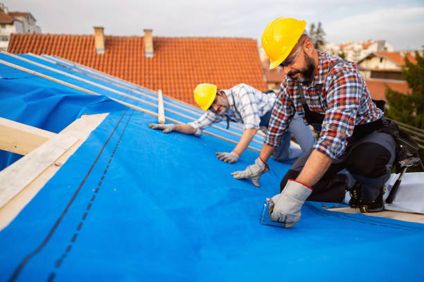 Best Roof Leak Repair  in Pascagoula, MS