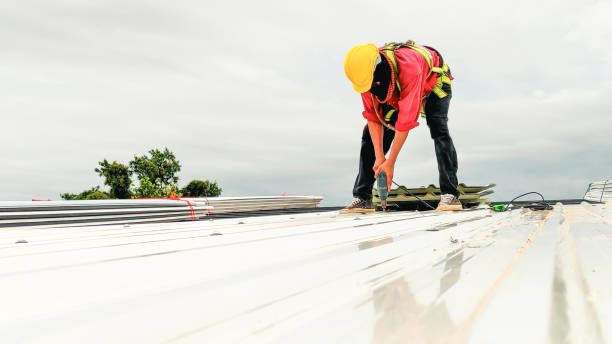 Best Rubber Roofing (EPDM, TPO)  in Pascagoula, MS