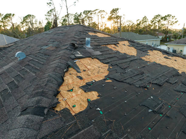 Best Slate Roofing  in Pascagoula, MS