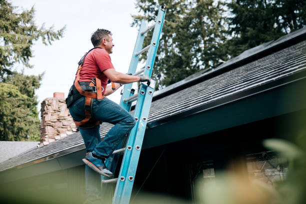 Best Roof Coating and Sealing  in Pascagoula, MS