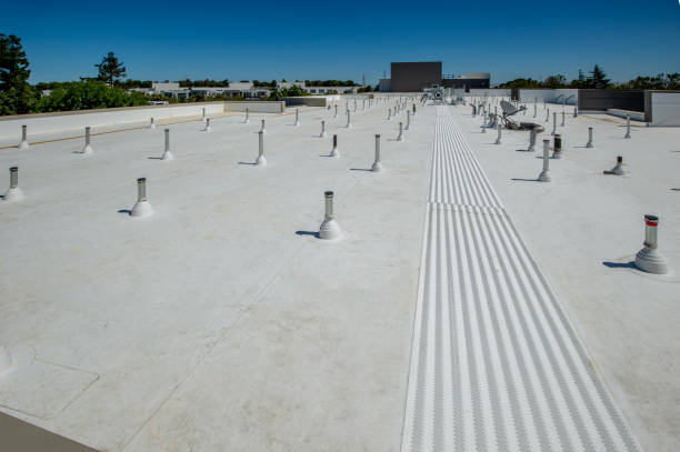 Best Roof Installation  in Pascagoula, MS